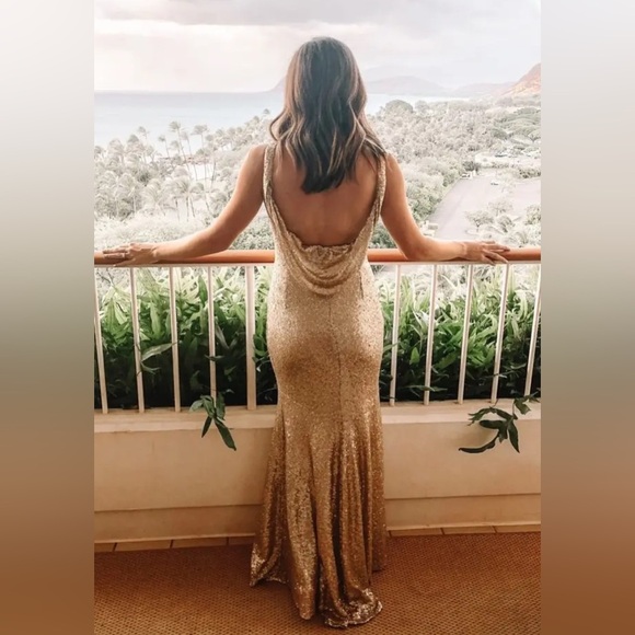 Theia Gemma Elegant Gold Sequin Evening Gown size 4. - Picture 7 of 13